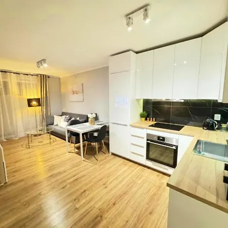 Good Time Centrum Strzelecka Apartment *