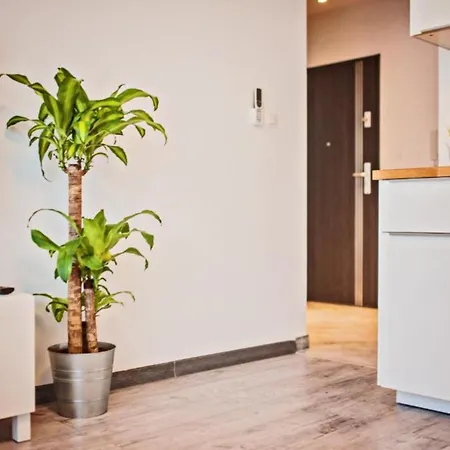 Good Time Centrum Strzelecka Apartment *