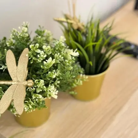 Good Time Centrum Strzelecka *