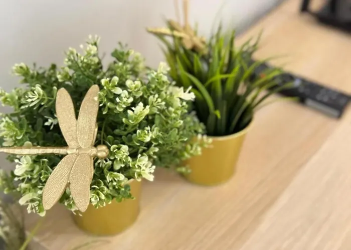 Good Time Centrum Strzelecka *