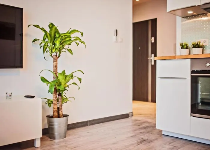 Good Time Centrum Strzelecka Apartamento *